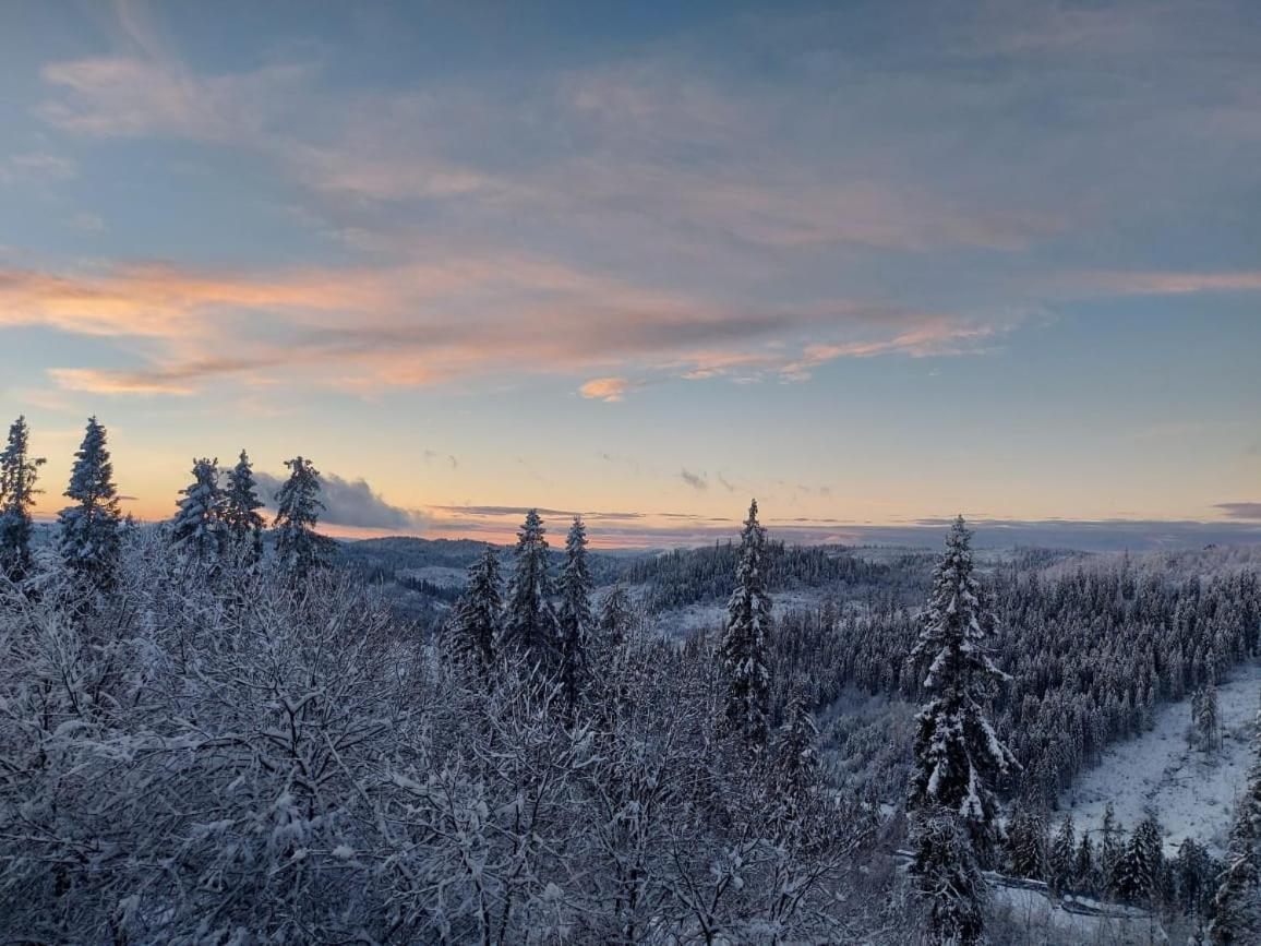 Tysovets Затишокヴィラ エクステリア 写真